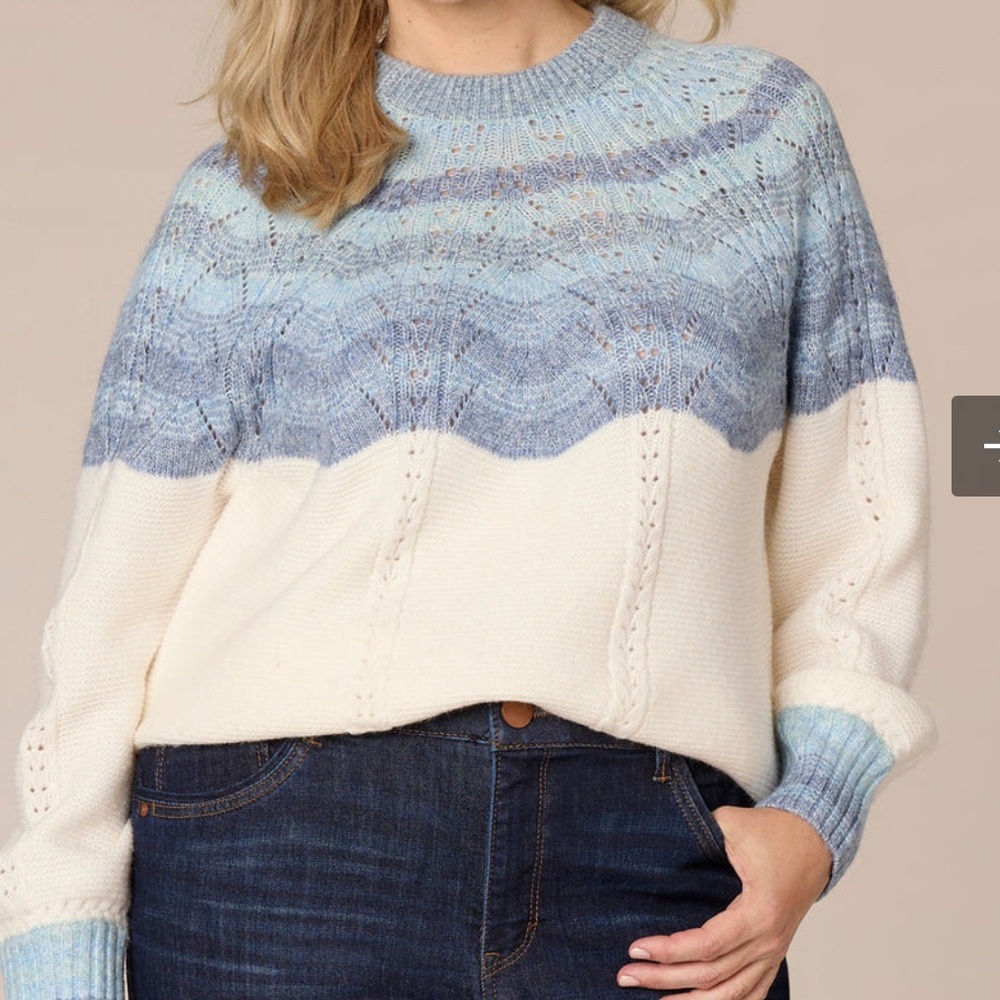 Democracy Blouson Sleeve Round Neck Ombre Placement Stitch Size PM Sweater NWT.‎